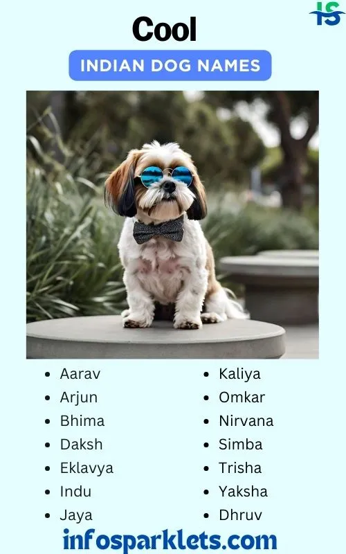 Cool Indian Dog Names