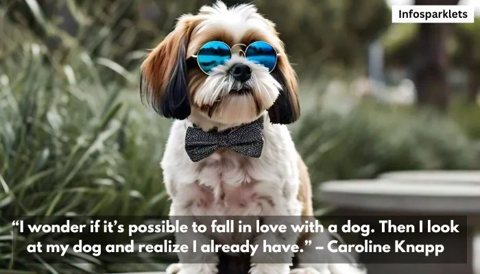 Dog Best Friend Quotes