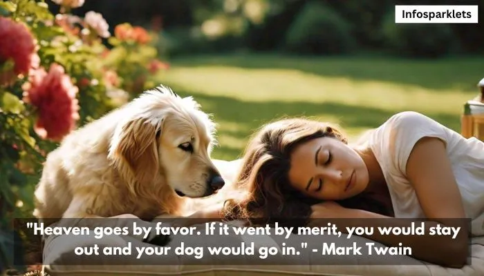 Dog Best Friend Quotes 