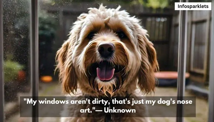 Dog Best Friend Quotes