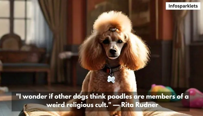 Dog Best Friend Quotes 