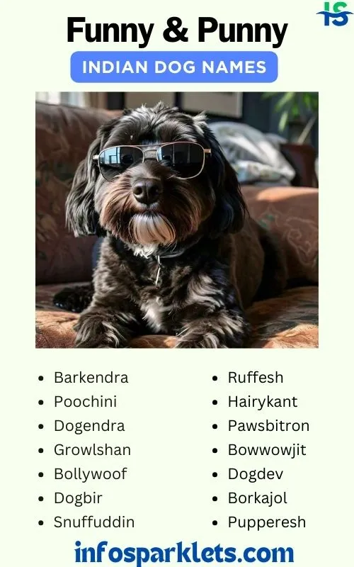 Funny & Punny Indian Dog Names