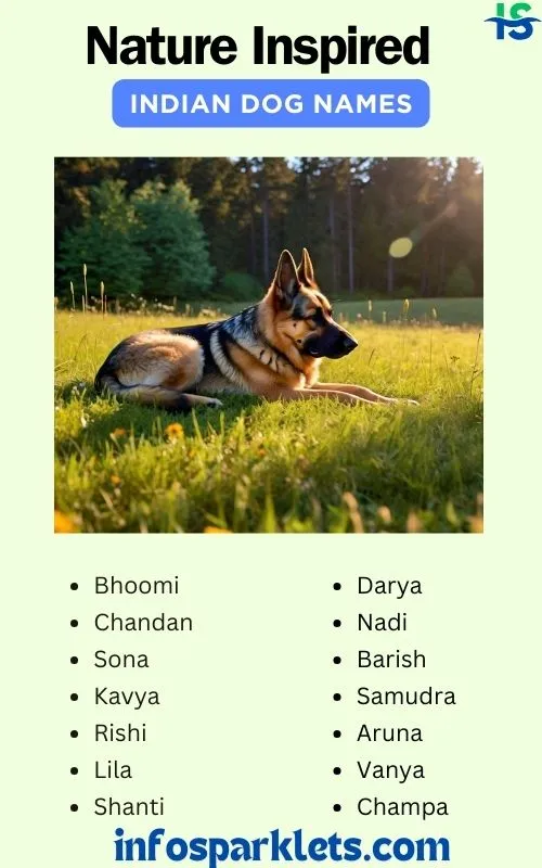 Nature Inspired Indian Dog Names