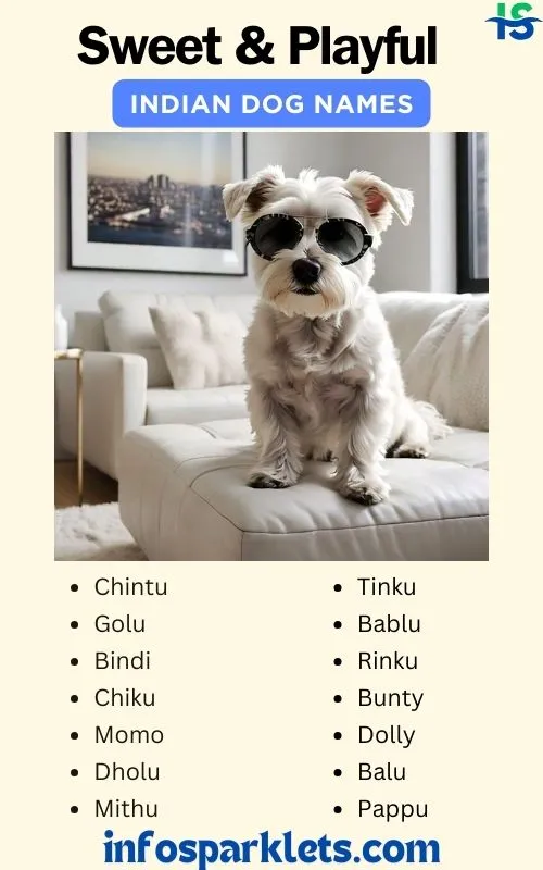 Sweet & Playful Indian Dog Names