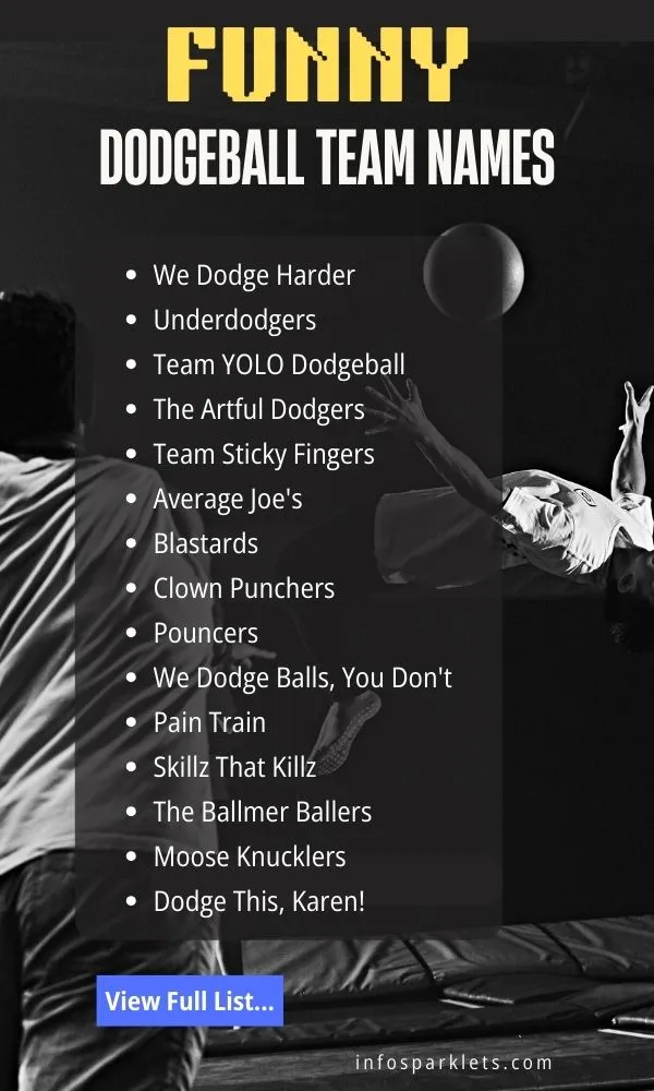 Funny Dodgeball Team Names