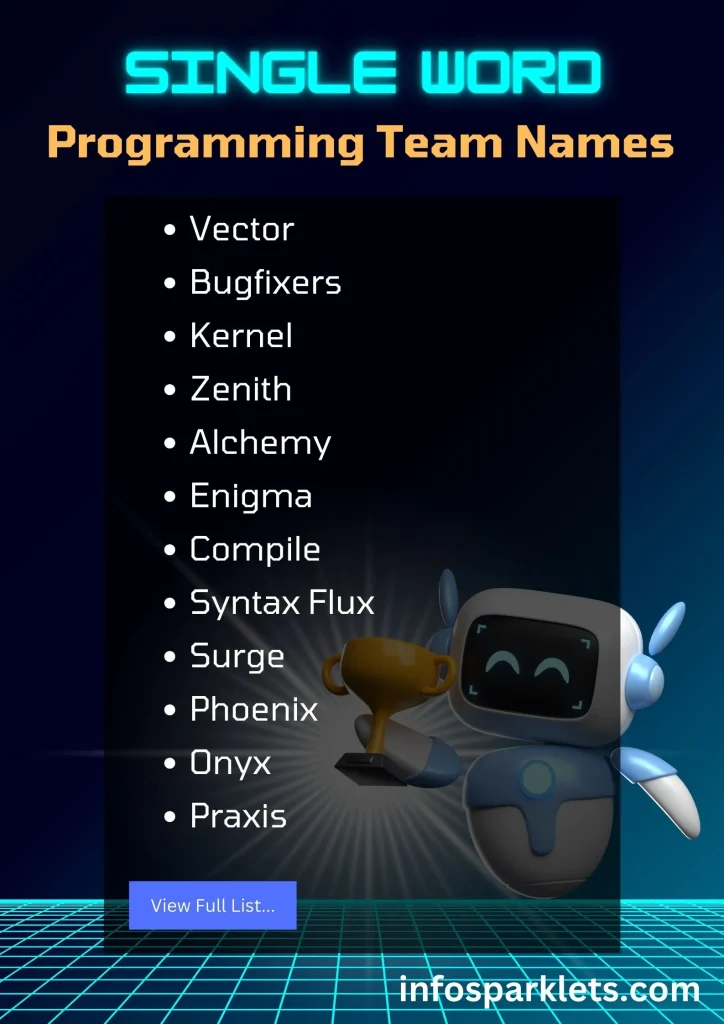 Single word Programming Team Names