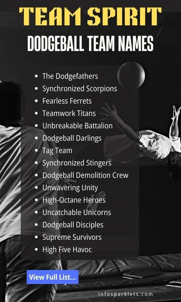 Team Spirit Dodgeball Team Names