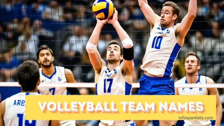 Volleyball Team Names