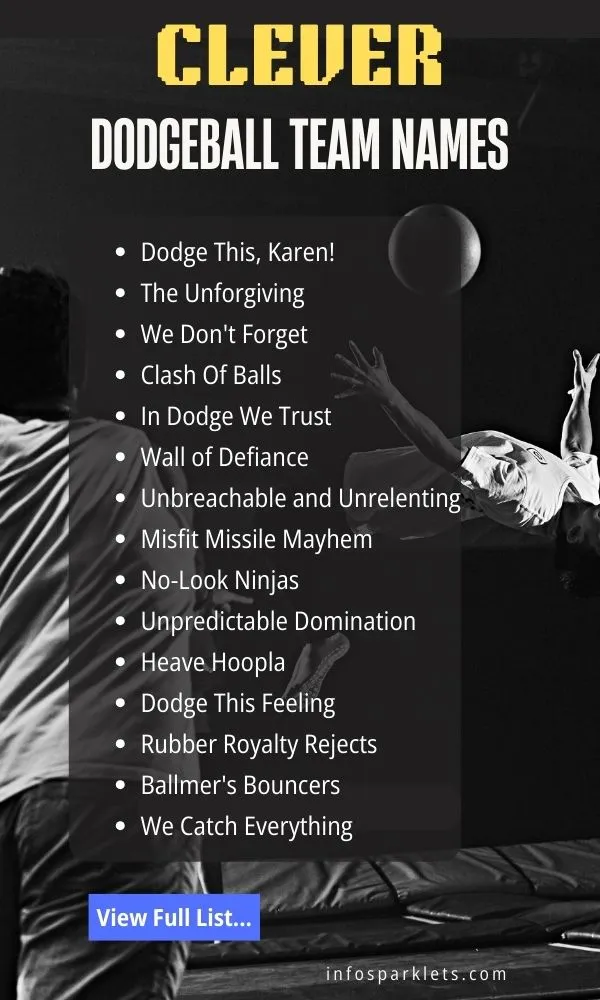clever Dodgeball Team Names