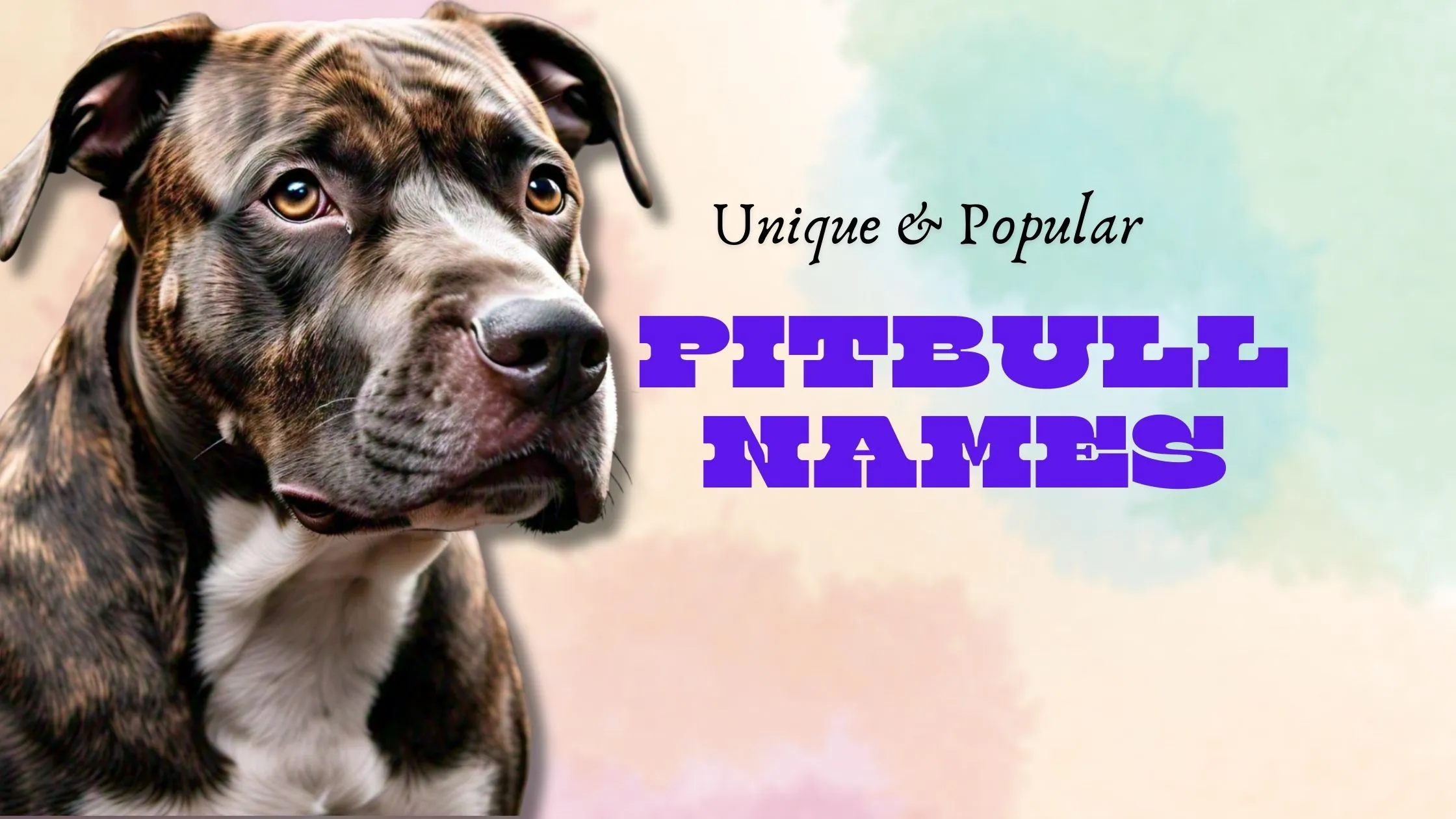 Unique & Popular Pitbull Names