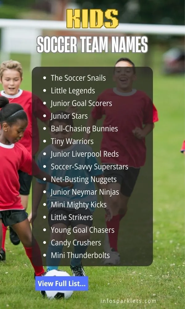 Kids Soccer Team Names