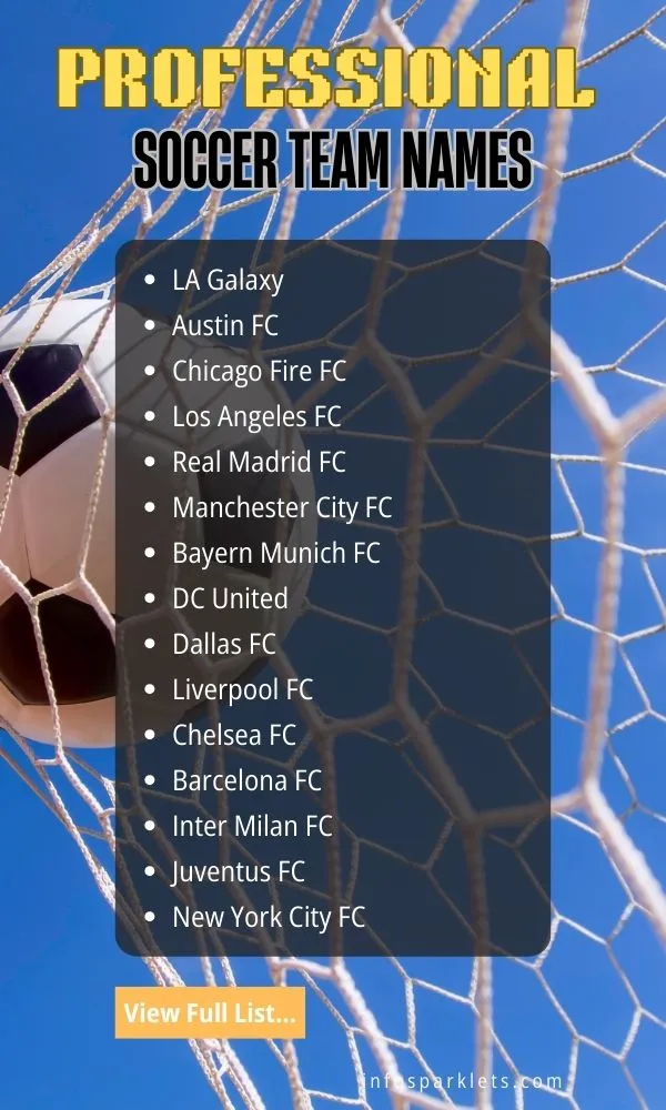 Professional Soccer Team Names