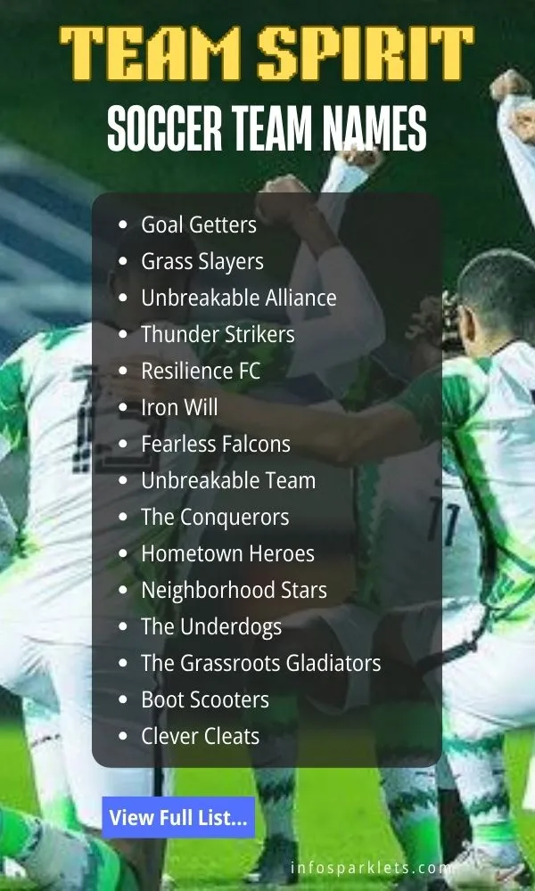 Team Spirit Soccer Team Names